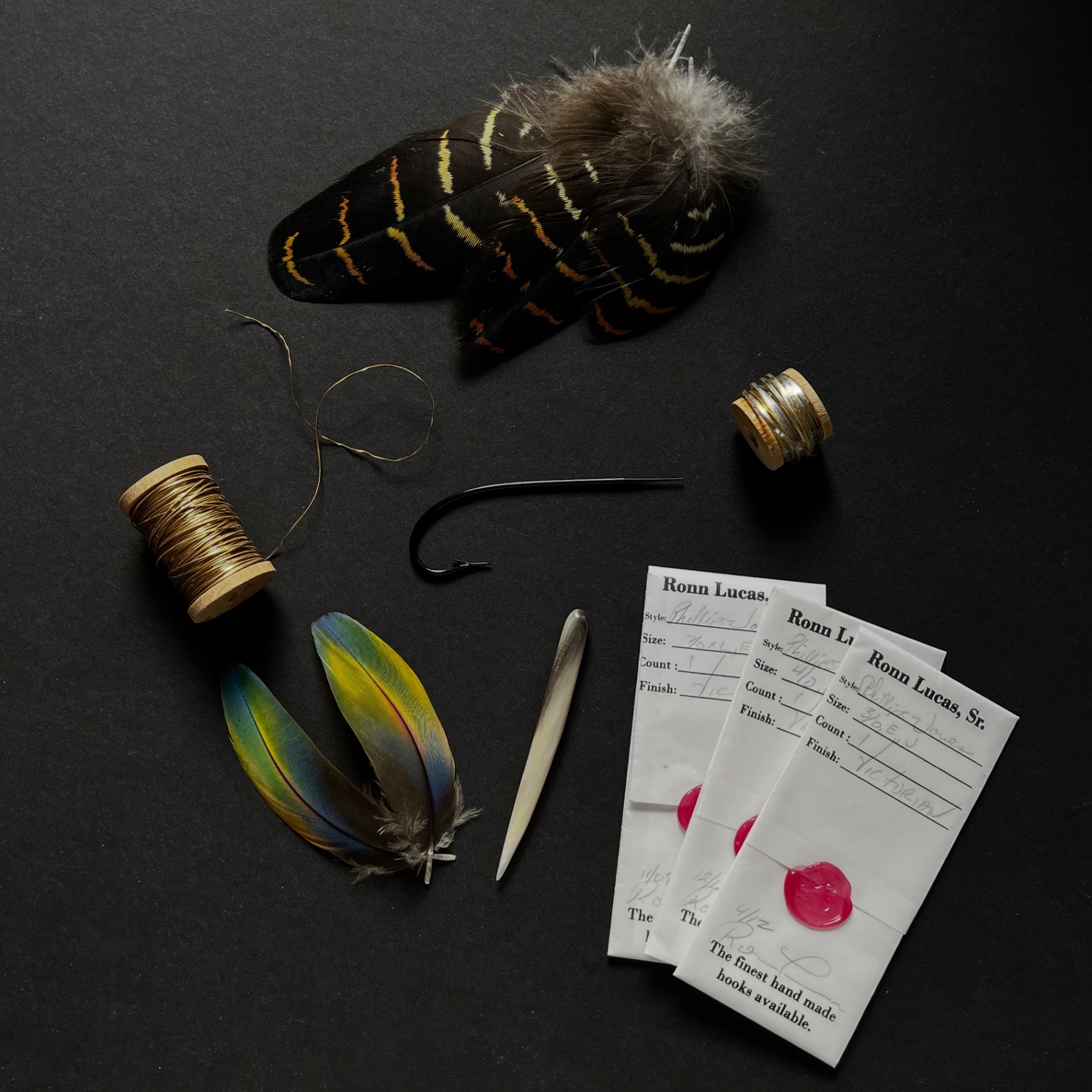 A singular feather specimen — its colour and pattern unrepeatable.